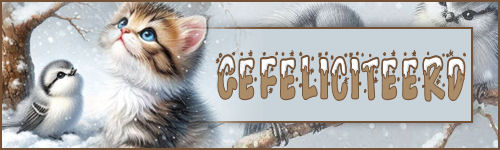 winter 16-poes-gefe…